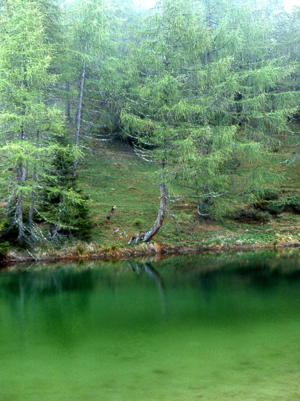 Laghi.......del TRENTINO